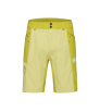 Mammut Ducan Shorts Men